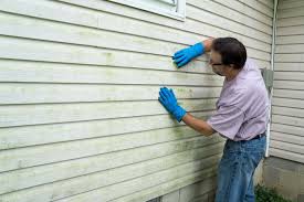 Best Vinyl Siding Installation  in Franklin, GA